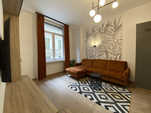 Renovated 2-Bedroom Apartment in the Heart of Downtown Budapest