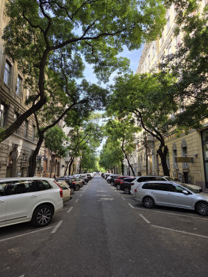 Renovated 2-Room Apartment on Exclusive Falk Miksa Street