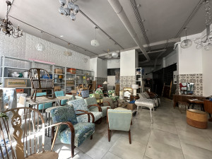 Prime Commercial Property on Egyetem Square