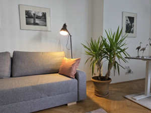 Renovated 2-Room Apartment on Exclusive Falk Miksa Street