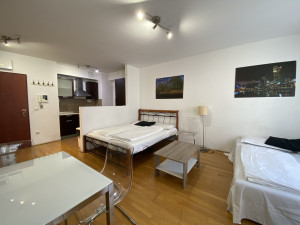 Bright apartment with large balcony in prime District 7 location