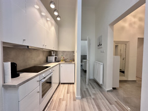 Freshly Renovated 2-Bedroom Apartment near Opera