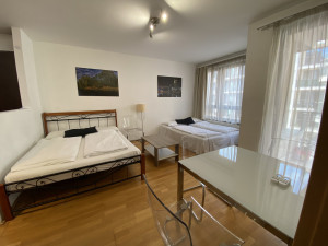 Bright apartment with large balcony in prime District 7 location