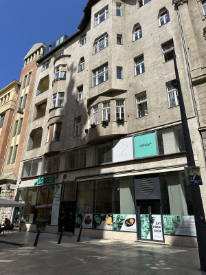 Prime Commercial Property on Egyetem Square